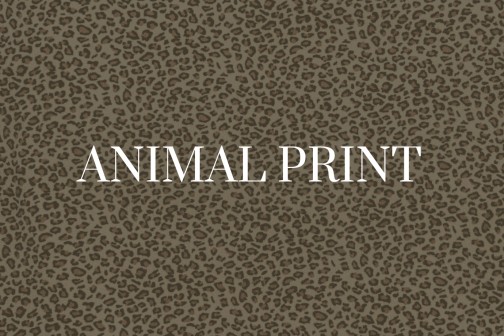 Trend Alert: Animal Print