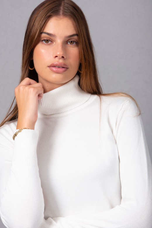 Basic high neck sweater