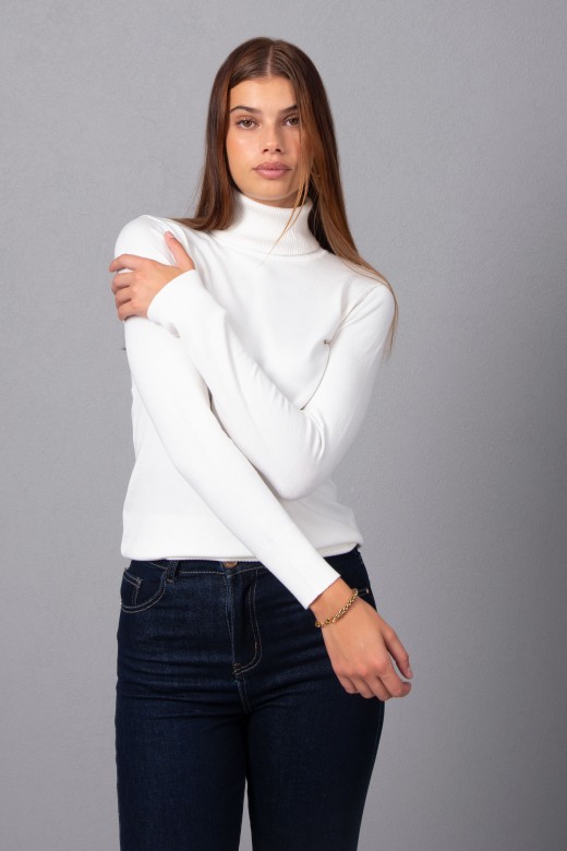 Basic high neck sweater