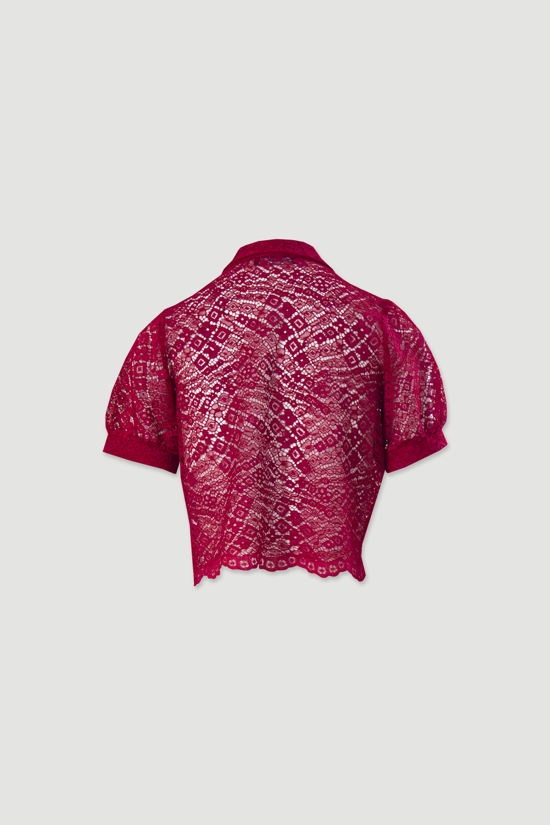 Lace blouse with short sleeves