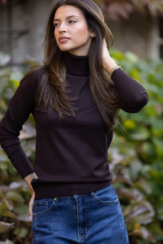 Pull basique  col roul