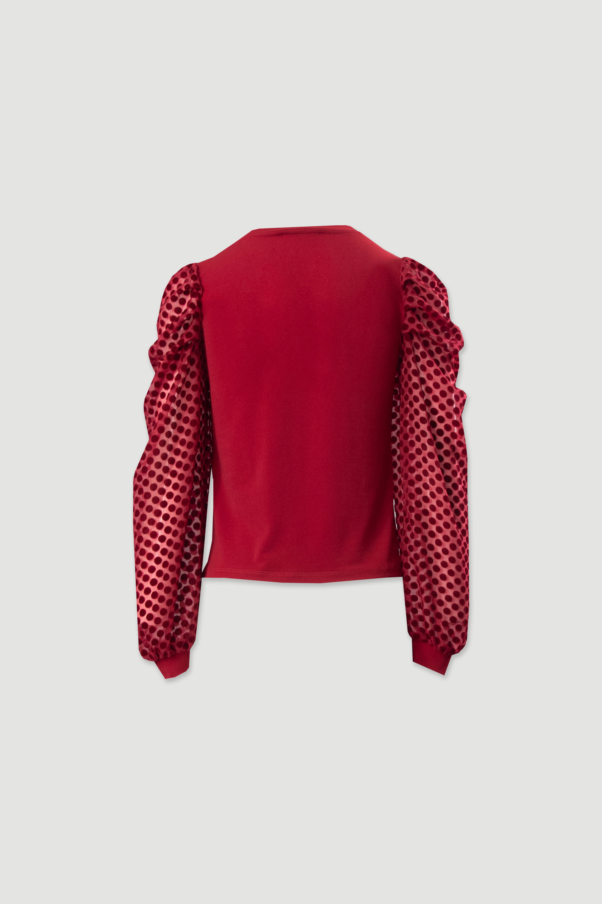 Sweater with embossed tulle sleeves