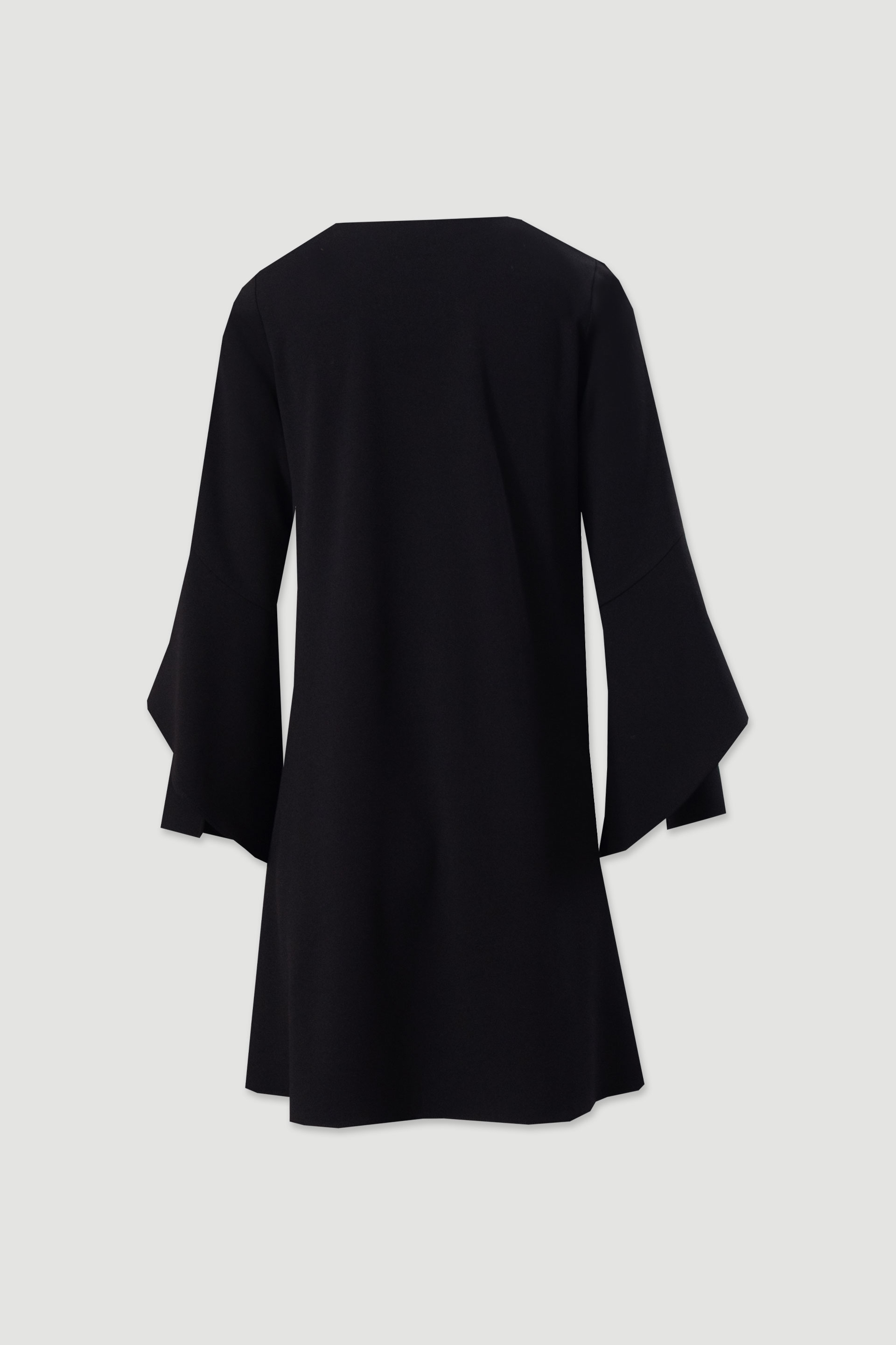 Short dress with long sleeves