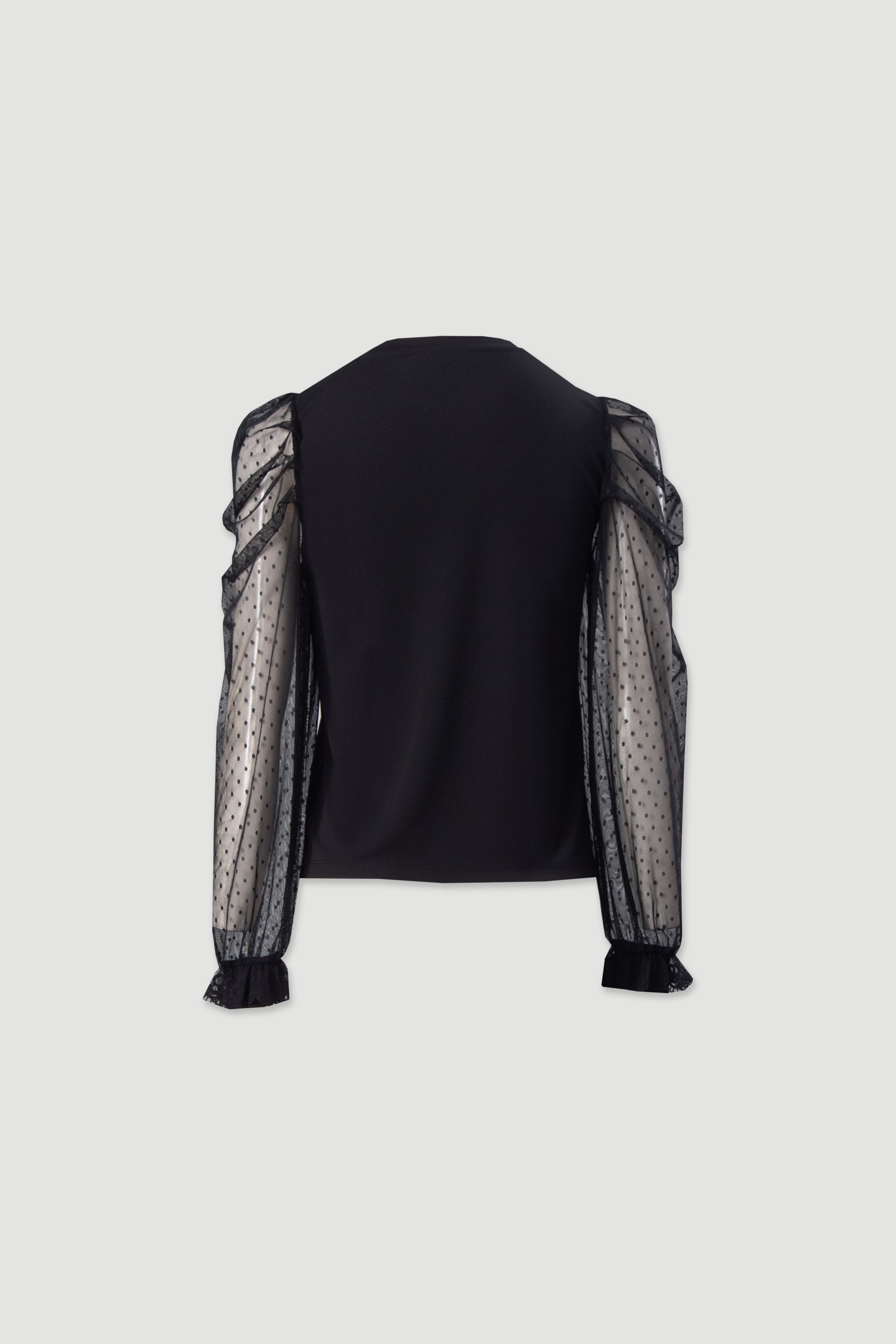 Blouse with plumetis tulle sleeves