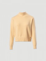 Pastel Yellow Pastel Yellow