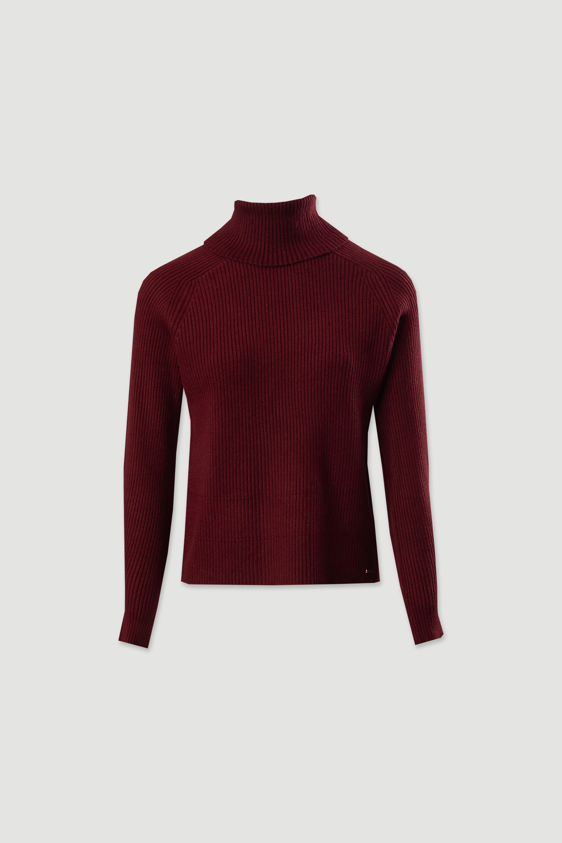 Ribbed knit sweater with high neck