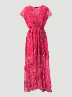 Fuchsia Fuchsia